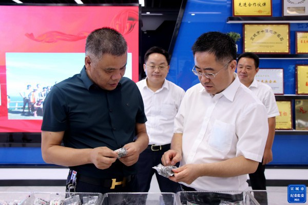 "在洪林镇农产品(食品)加工园,王珏走访调研安徽乐方食品有限公司