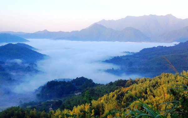 汀溪乡加强九里岭景观农业园区建设 -泾县人民政府