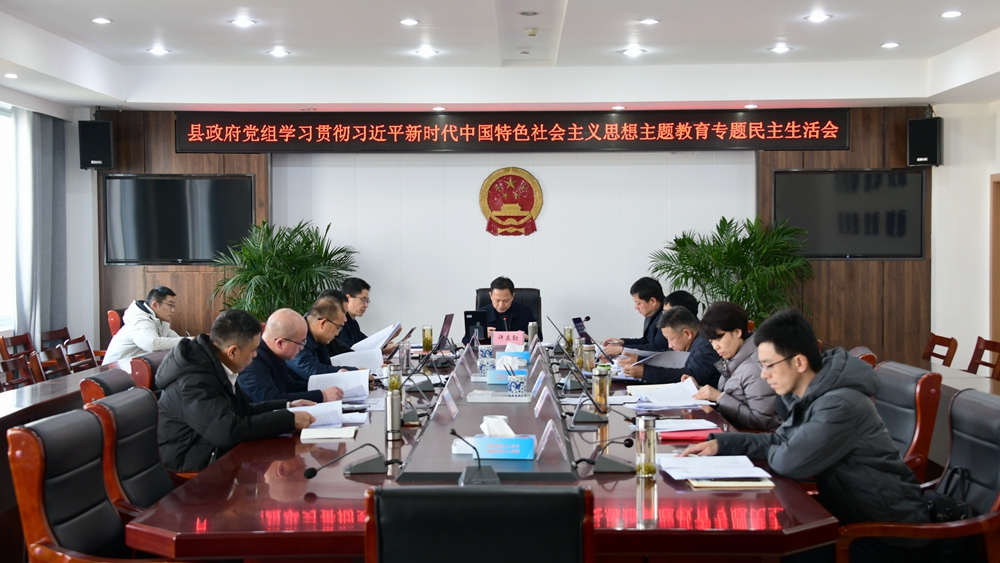 县政府党组召开主题教育专题民主生活会
