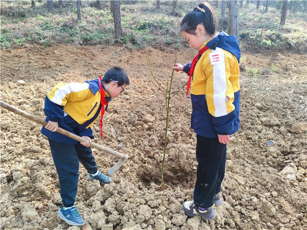 泾县千亩园学校开展植树活动