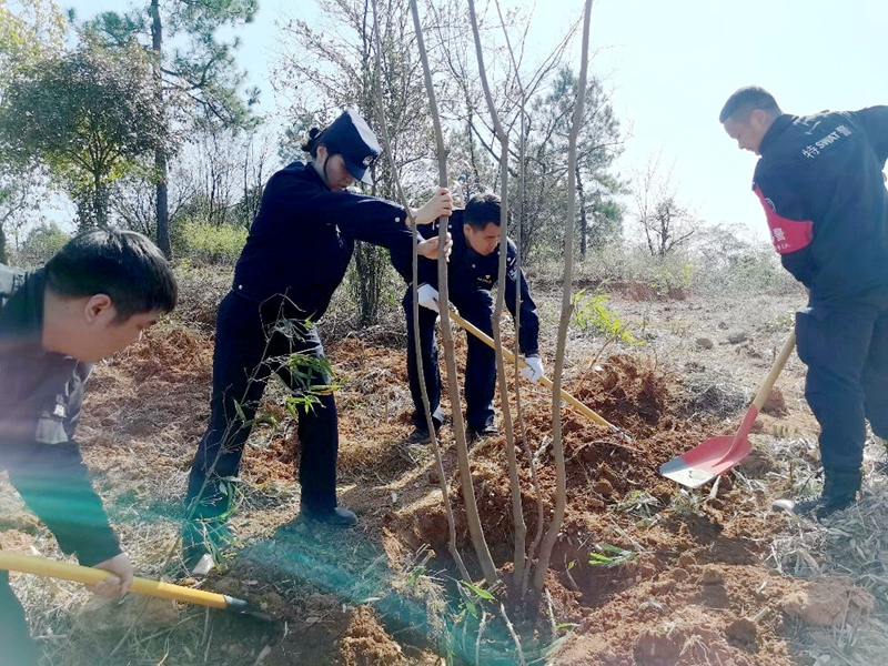 市局团委组织团员青年开展植树活动
